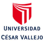 Universidad César Vallejo