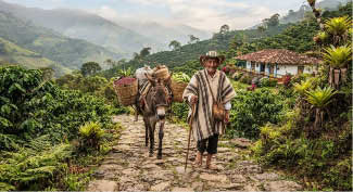 Camino de Herradura - Colombia