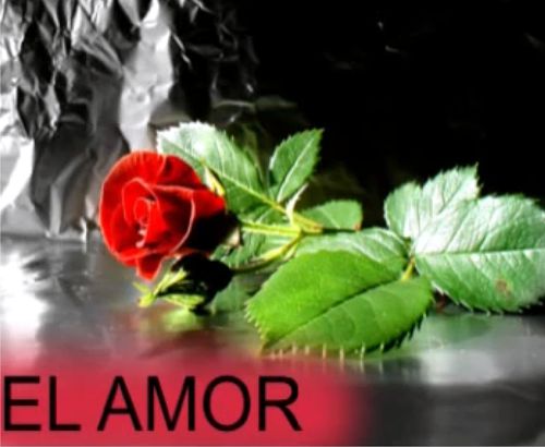 Recital, El Amor